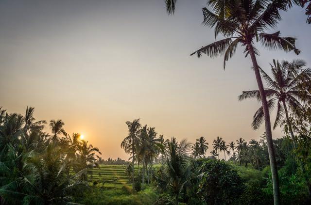 Bali Yoga Ubud