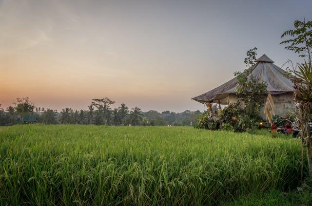 Bali Yoga Ubud